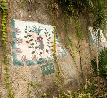 A view of the wall of vegetalistas paintings set in the rainforest biome
